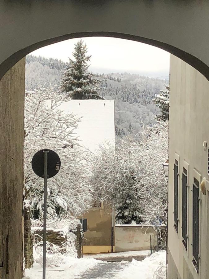 Appartamento Wolke 33 Annaberg-Buchholz Esterno foto